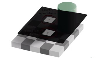 Th neural plasticity